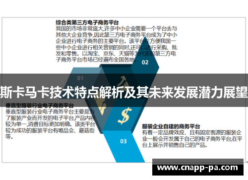 斯卡马卡技术特点解析及其未来发展潜力展望
